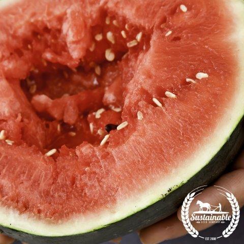 Sugar Baby Watermelon: The Sweetest Mini Watermelon You Need in Your Garden