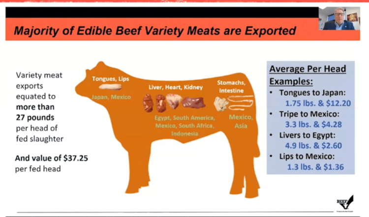 Feeding Corn Oil to Beef Cattle: A Cost-Effective Solution for Performance and Sustainability