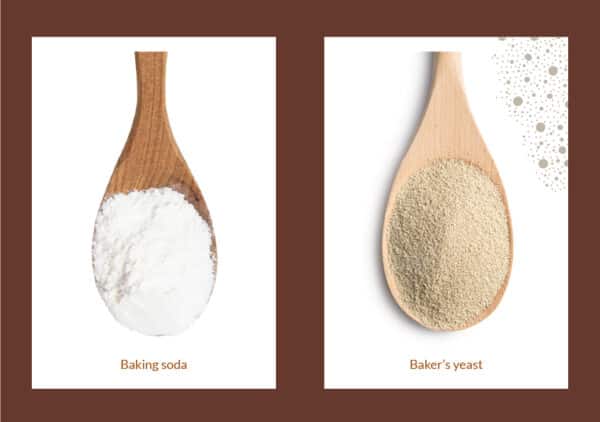 The Magic of Yeast in Baking
