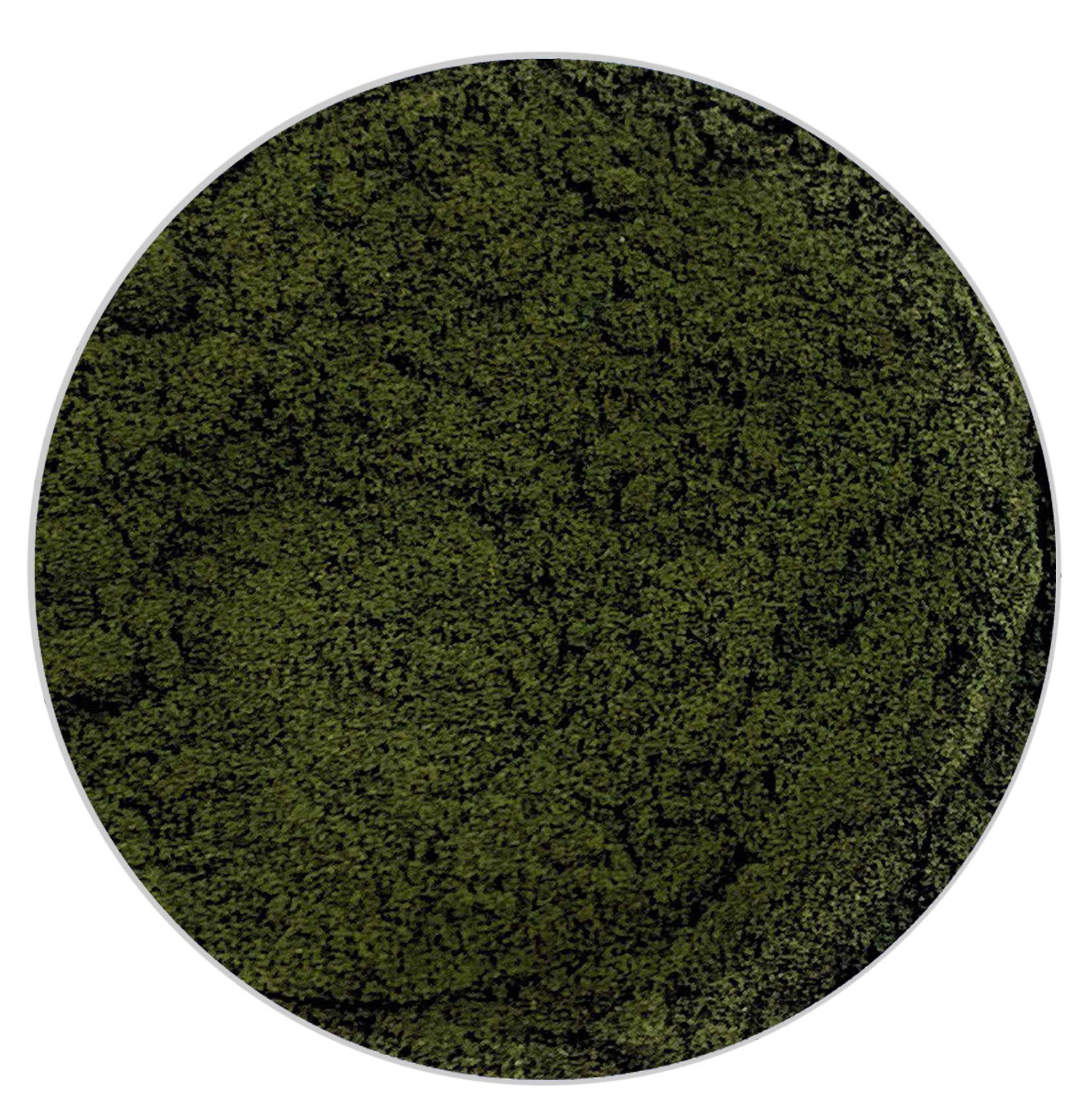 Organic Food Coloring Powder: Natural, Vibrant & Safe for All Your Creations