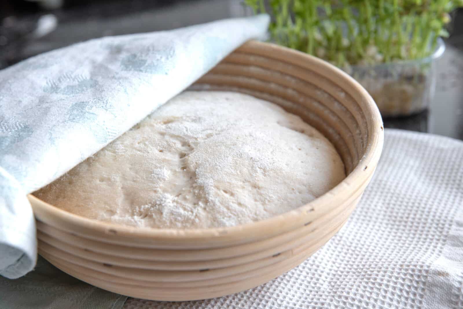 The Magic of Yeast in Baking