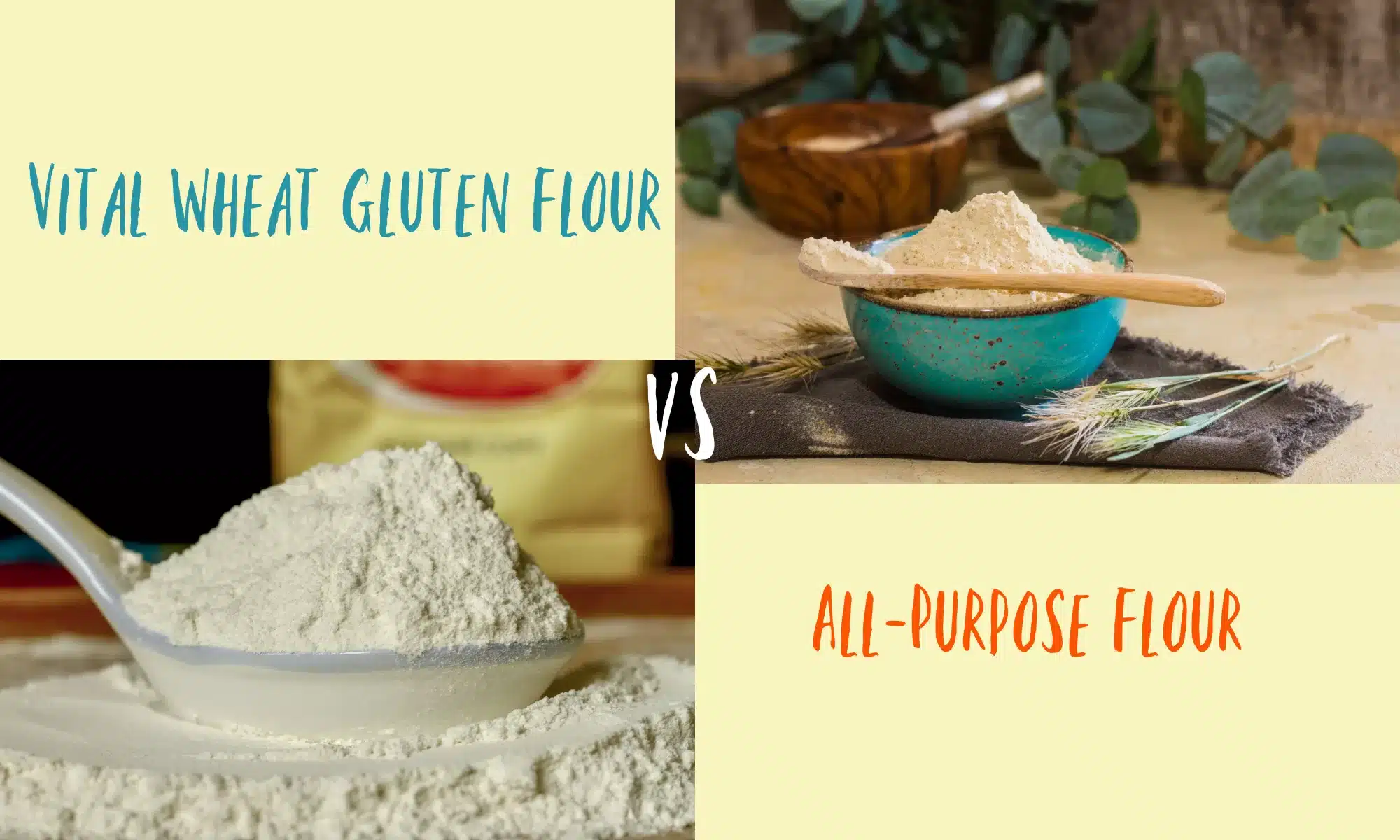Low Gluten Flour: What It Is and Why Its Different from Regular Flour