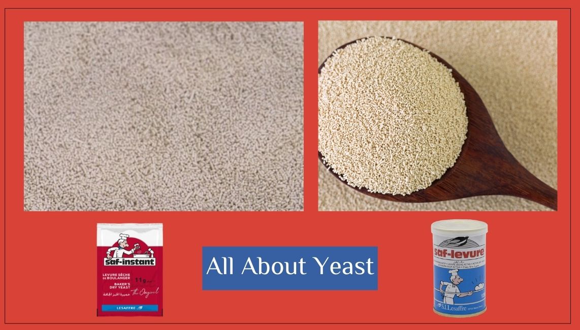 SAF Yeast vs Regular Yeast: Key Differences You Should Know