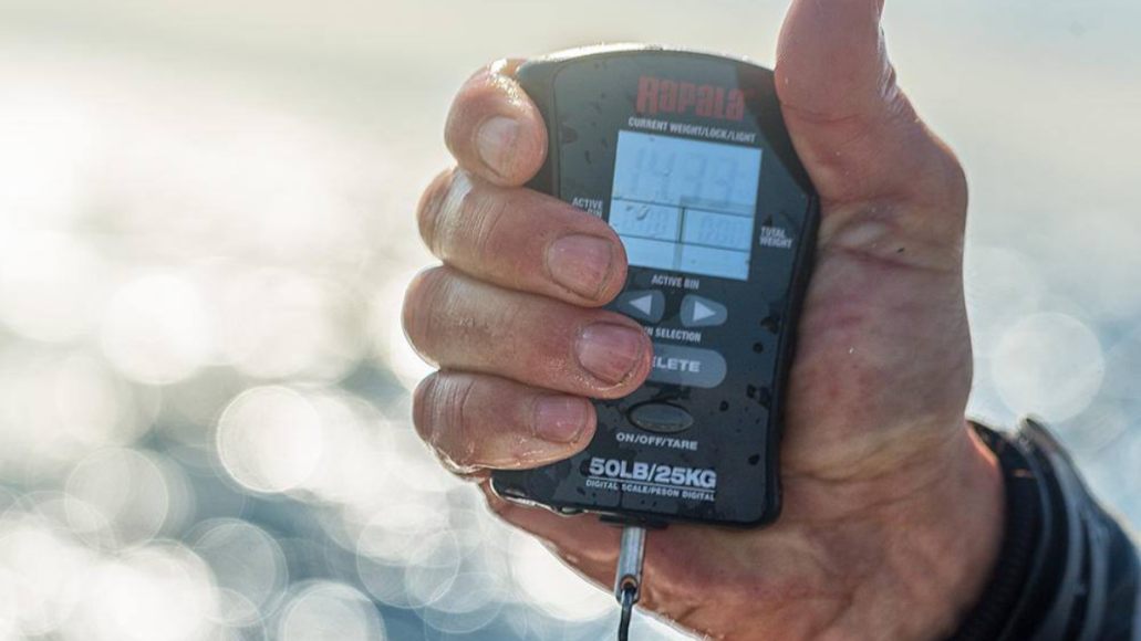 Best Electronic Fish Scales for Accurate Weight Measurement in 2024