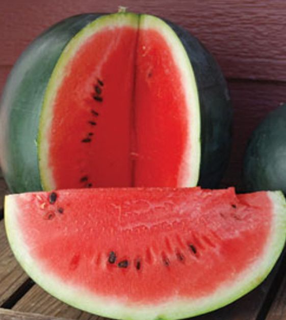 Sugar Baby Watermelon: The Sweetest Mini Watermelon You Need in Your Garden
