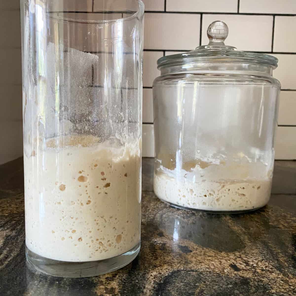 How to Feed Sourdough Starter Without a Scale (Keep Your Starter Happy)