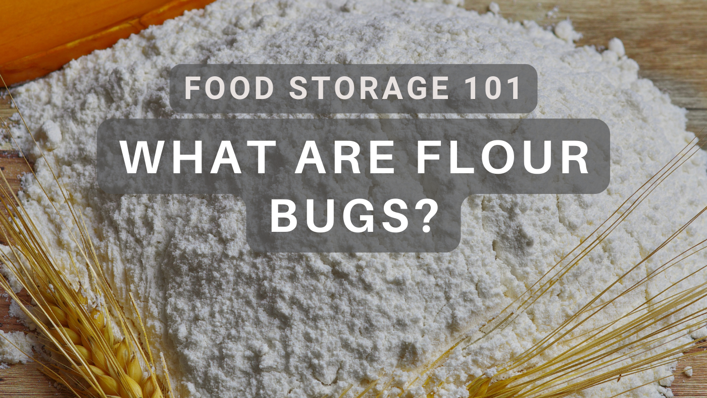 Simple Steps How Long to Freeze Flour to Kill Bugs