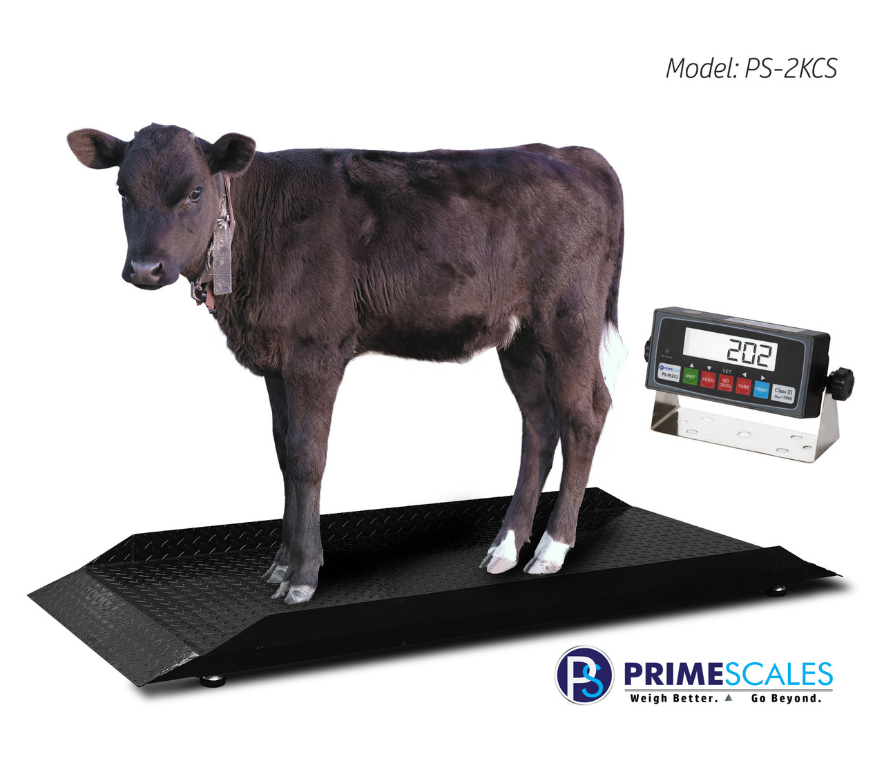 Get Accurate Readings with Electronic Livestock Scales