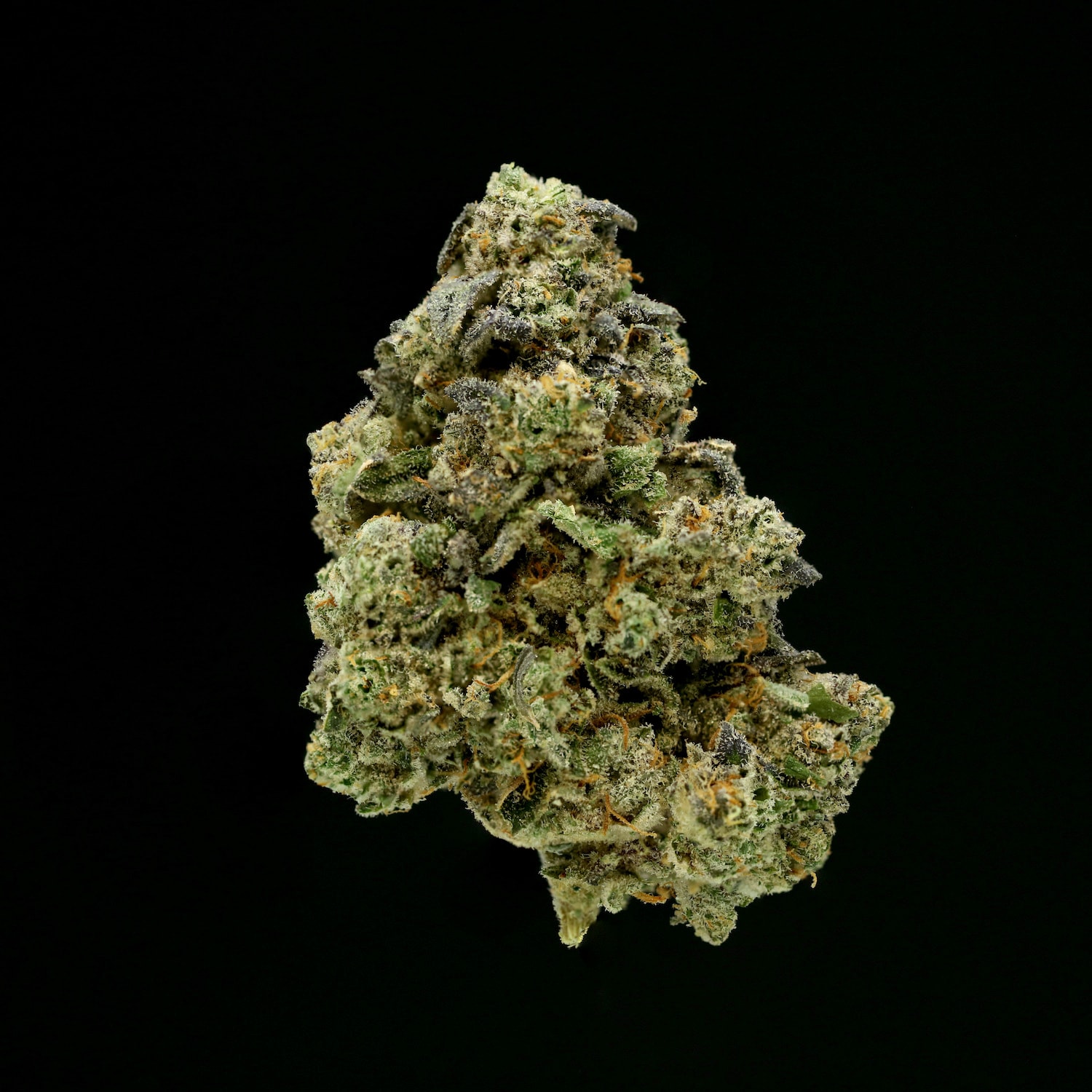 Buttermilk Biscuits Strain: Indica Dominant Hybrid Powerhouse
