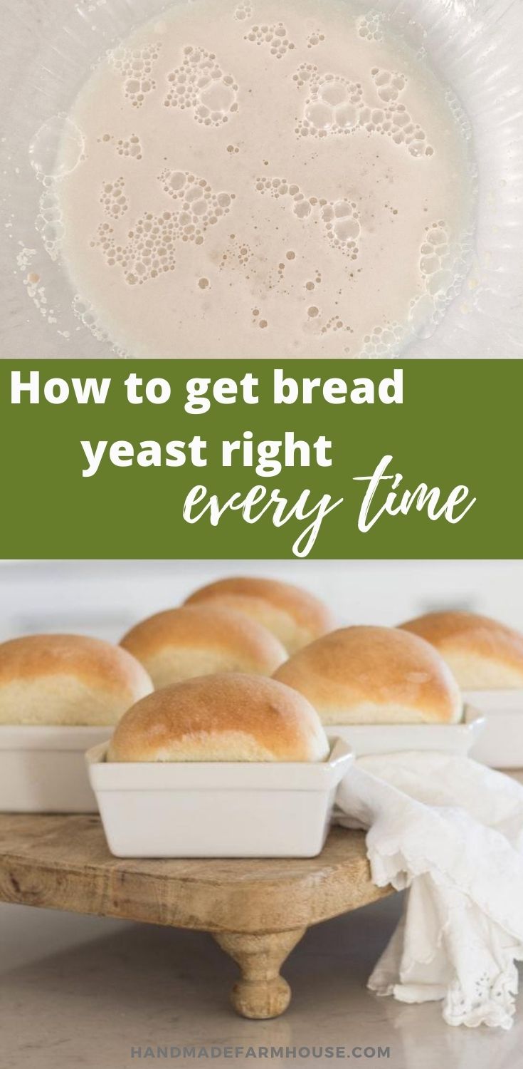 Saf Baking Yeast: Tips for Beginners (Get Perfect Results Every Time)