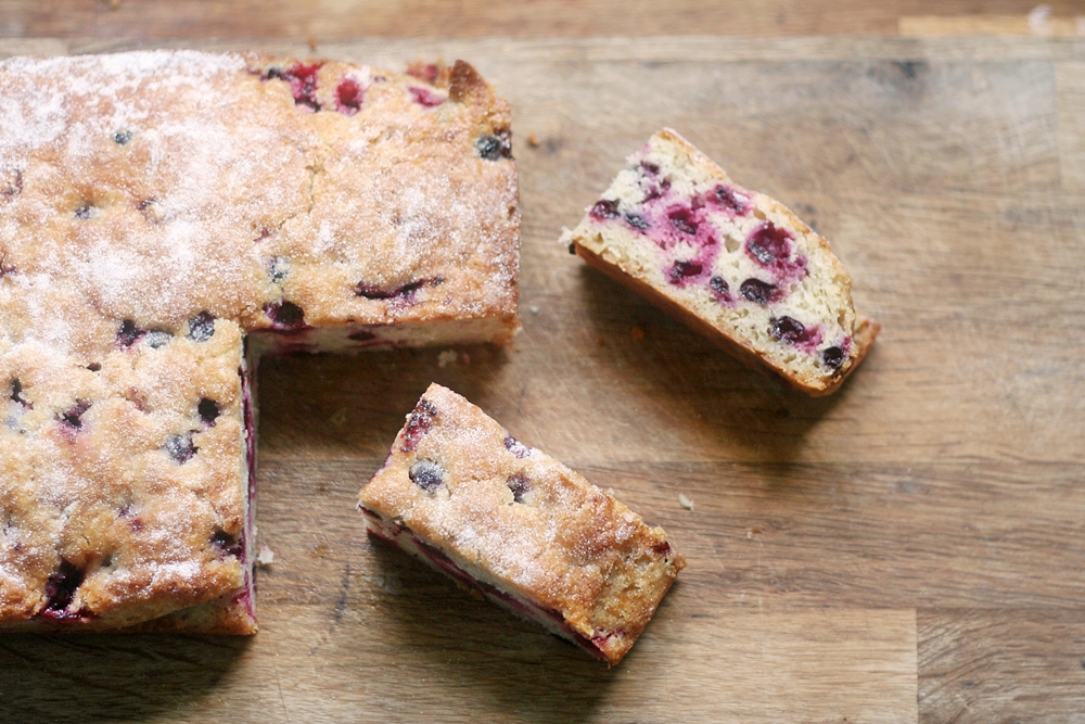 Quick Guide: Can I Freeze a Fruit Cake and How?