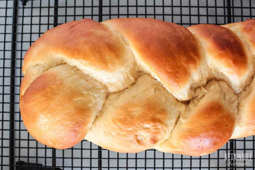 Bake a Bakery Item Based on Portuguese Sweet Bread: Step-by-Step!