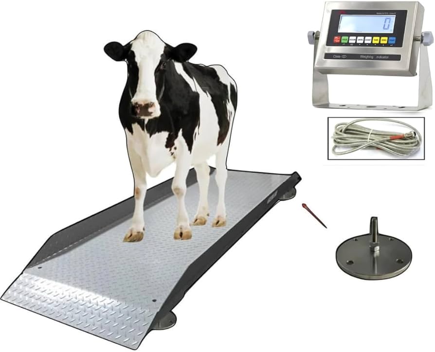 Get Accurate Readings with Electronic Livestock Scales