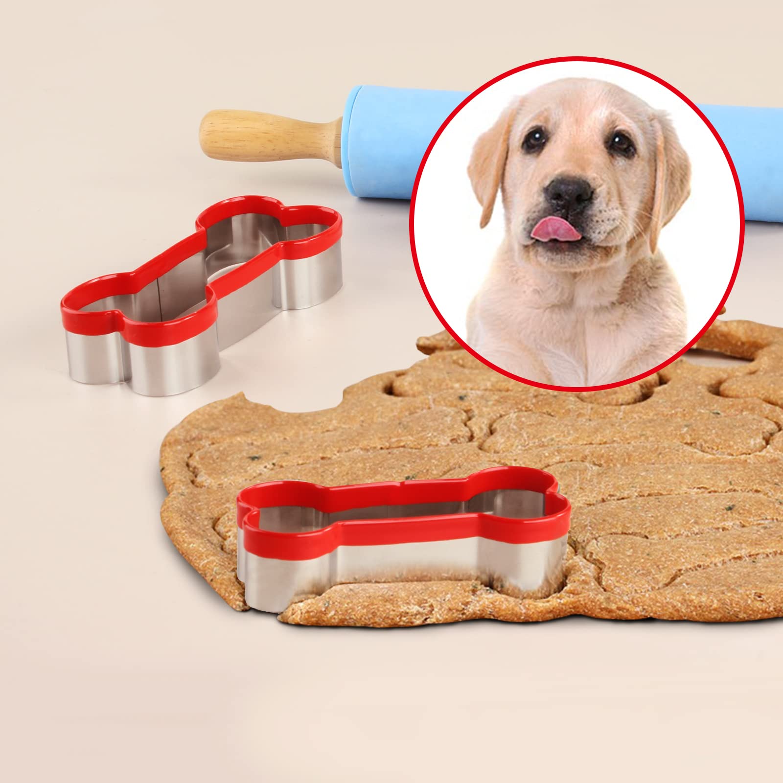 Multi-Size Bone Shaped Biscuit Cutter: Create Treats for All Pets