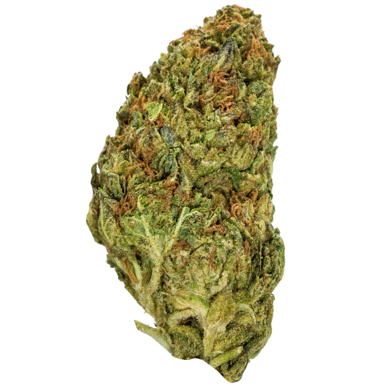 Buttermilk Biscuits Strain: Indica Dominant Hybrid Powerhouse
