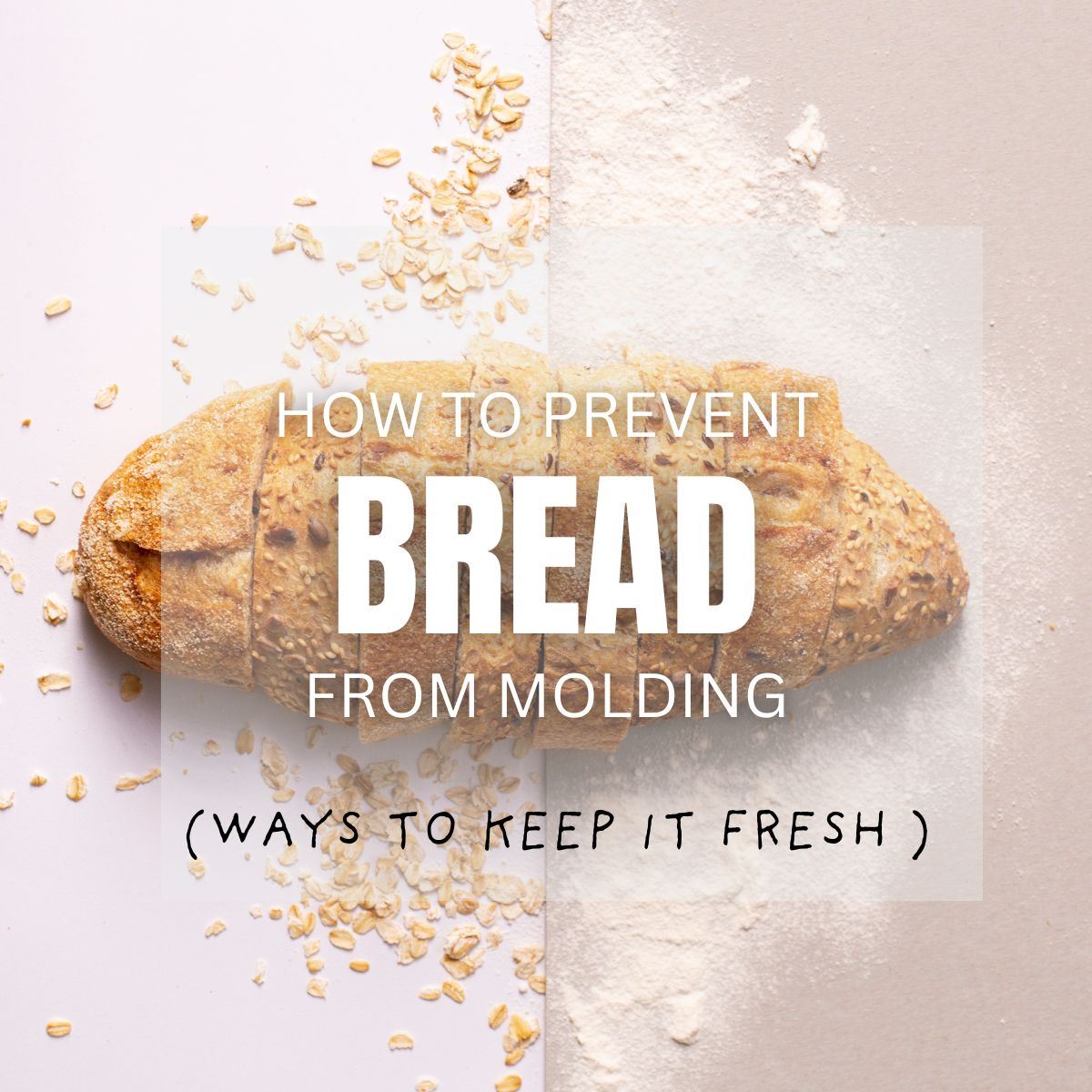 How to avoid bread mold when baking? Here are some easy tips for you!