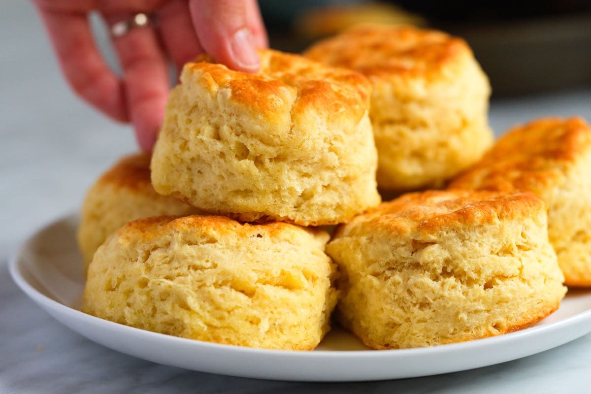 The Best Easy Homemade Biscuits With All-Purpose Flour No Baking Powder (Secret to Perfect Biscuits)