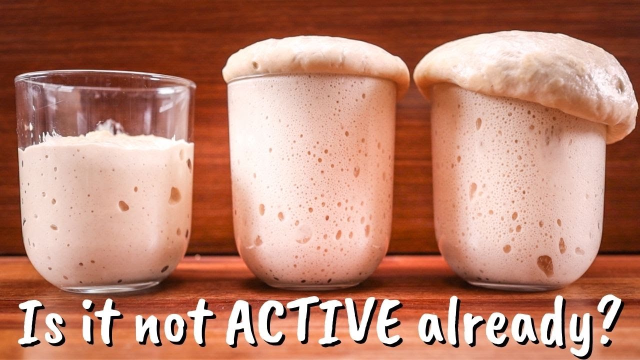 Why is there no yeast activity after 10 hours?