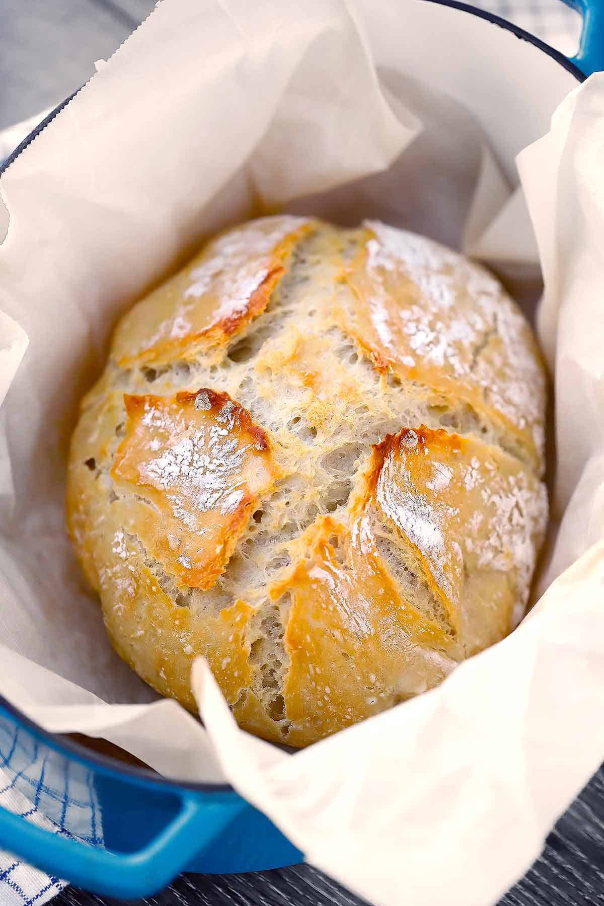 Outdoor Bread Oven: Best Ways to Get Crispy Crusts at Home?