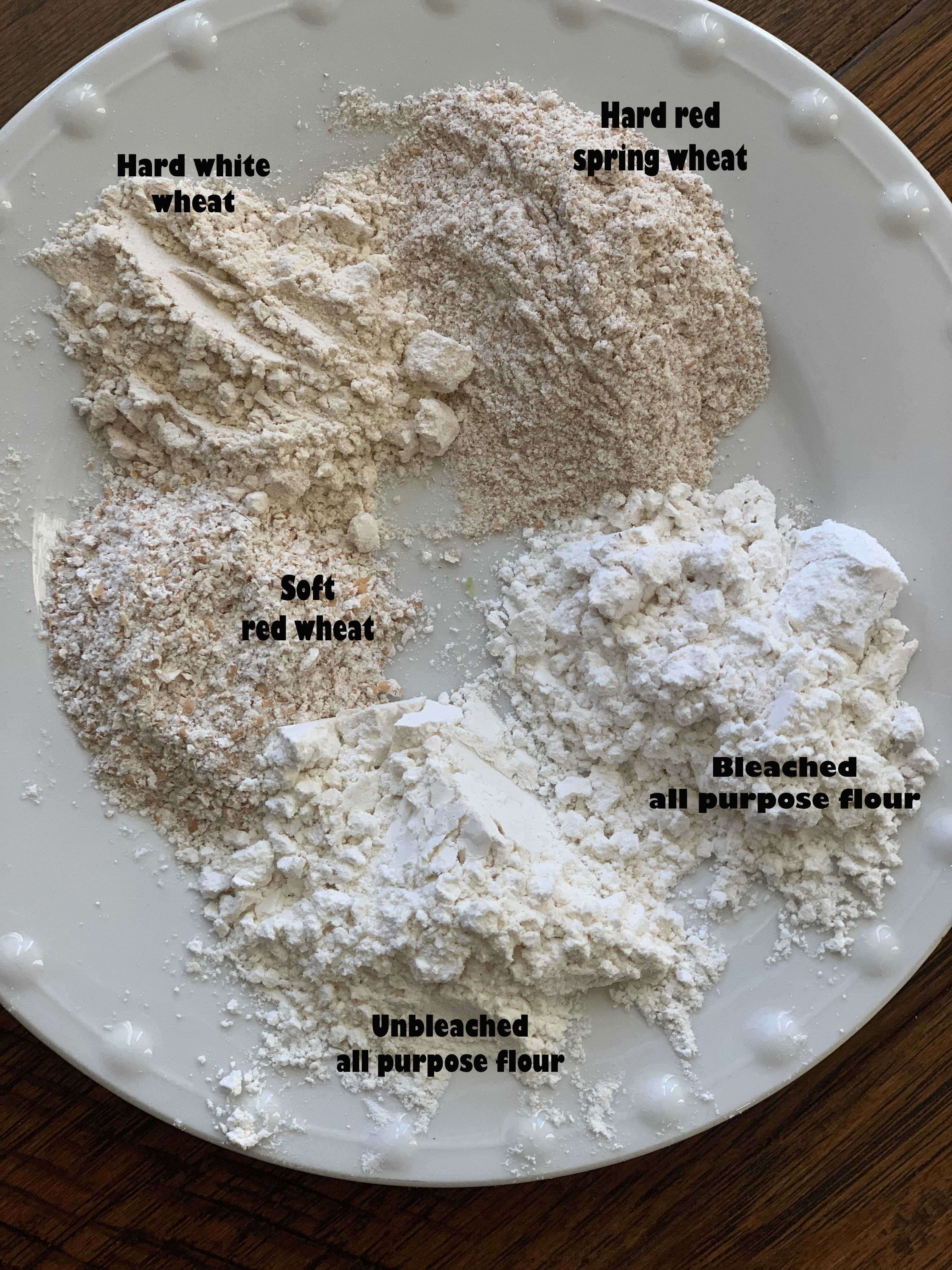 Whats the Best High Gluten Flour? Find Your Perfect Match!