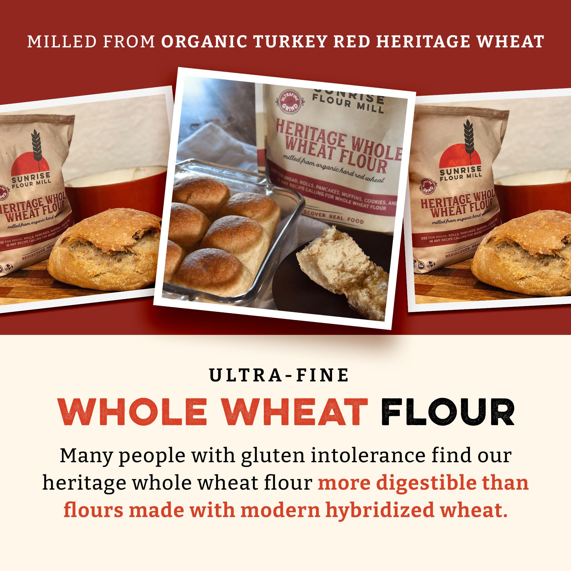 Where can I buy the best heritage high gluten flour? (Find top sources for quality baking ingredients)