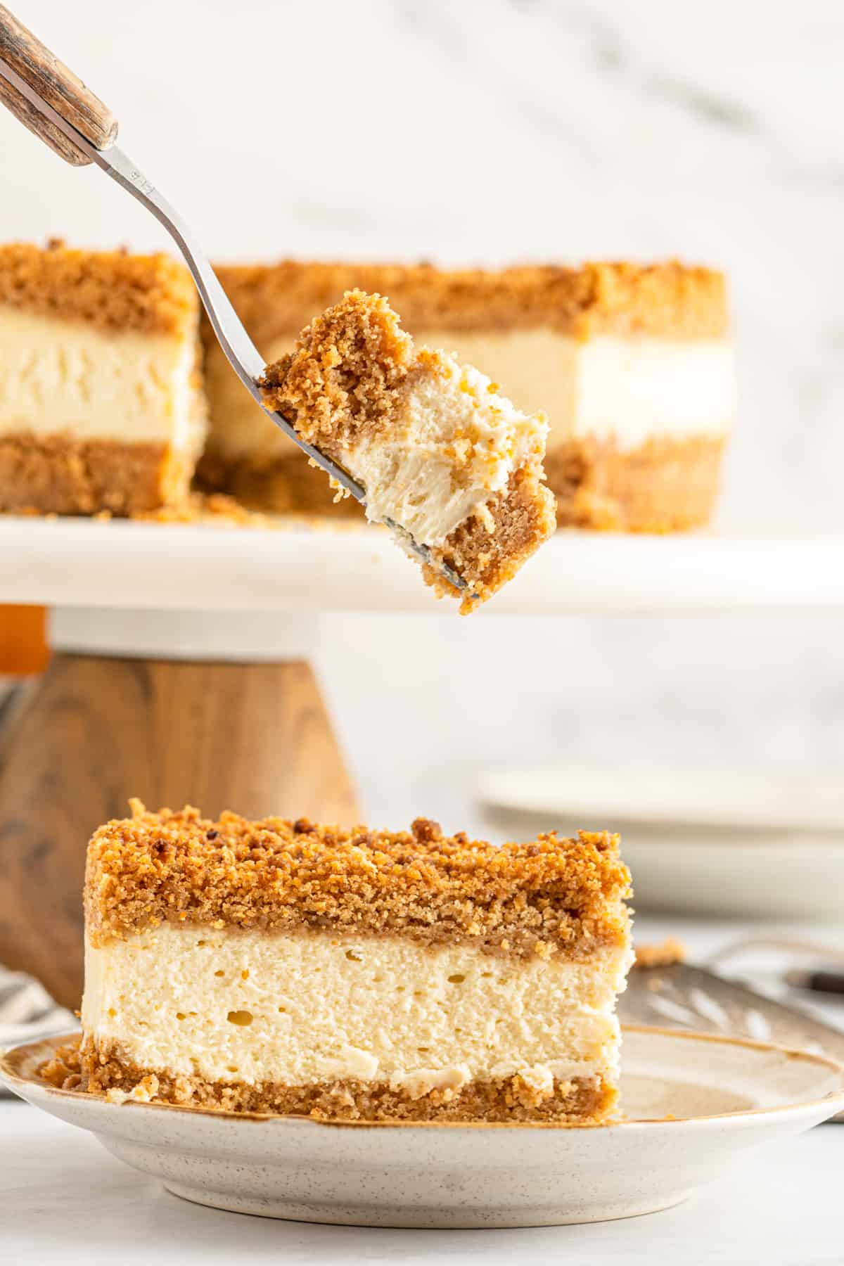 Find the Perfect Cheese Cake with Crust on Top and Bottom.