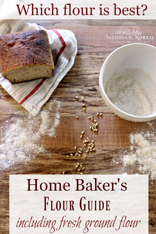 Ground up flour: the best guide for home bakers.