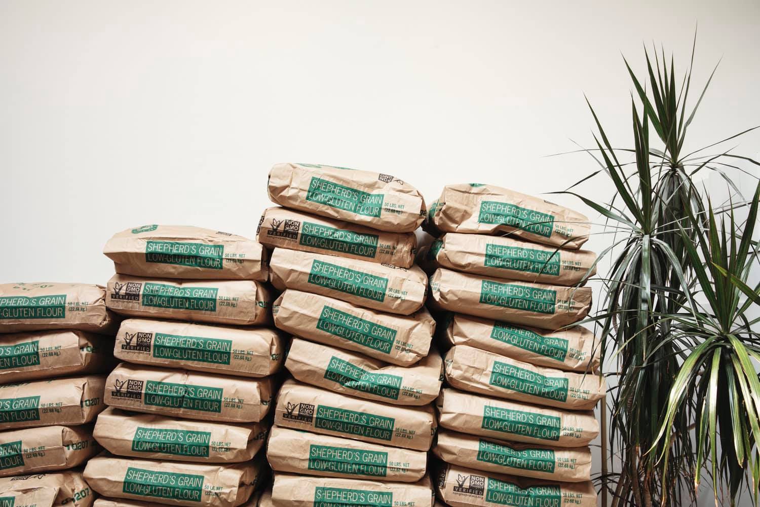 Is Shepherds Grain Low Gluten Flour Right for You? Find Out Now!