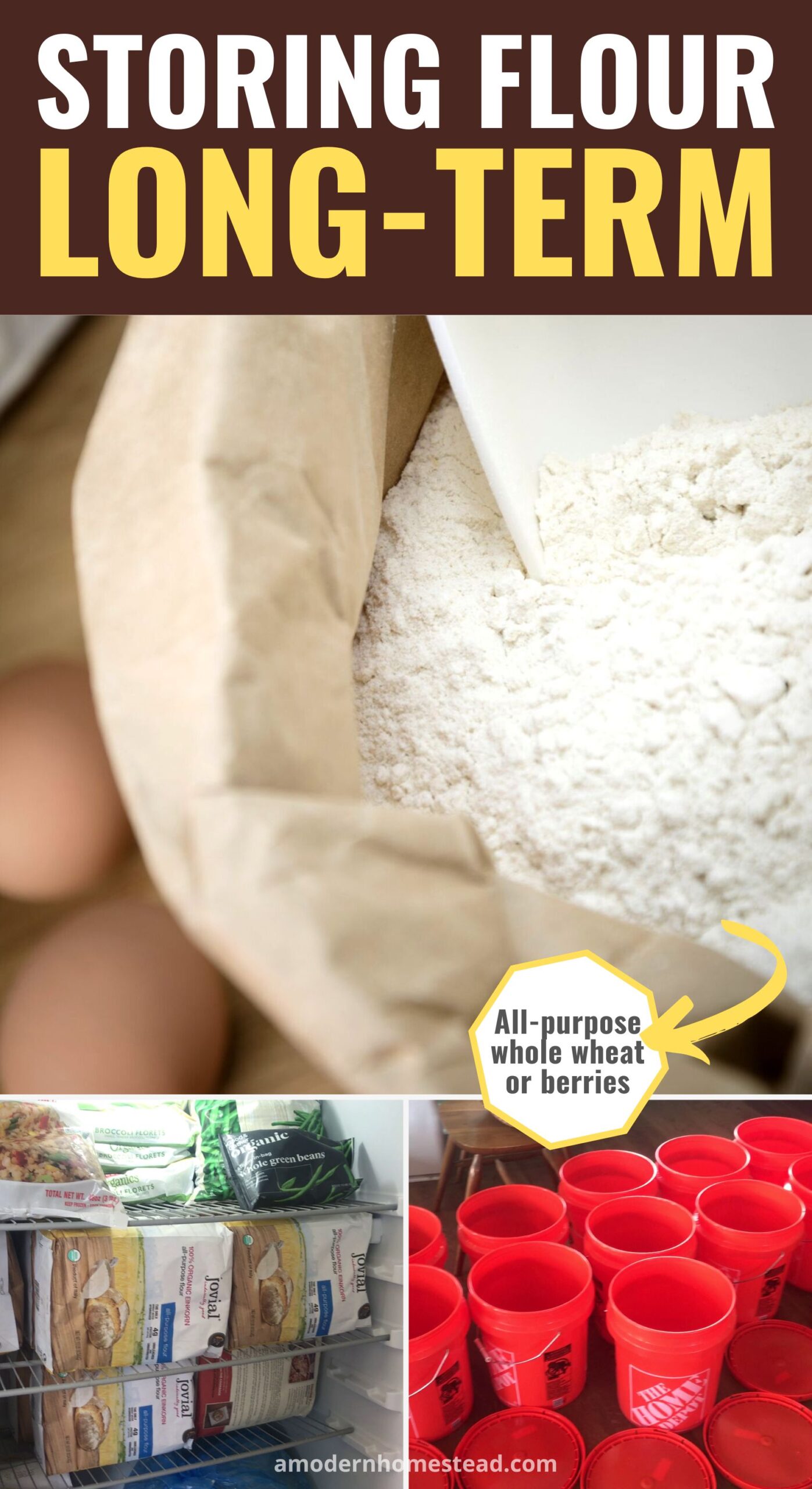 How should you store a 100 pound bag of all purpose flour properly? Simple tips to keep it fresh.