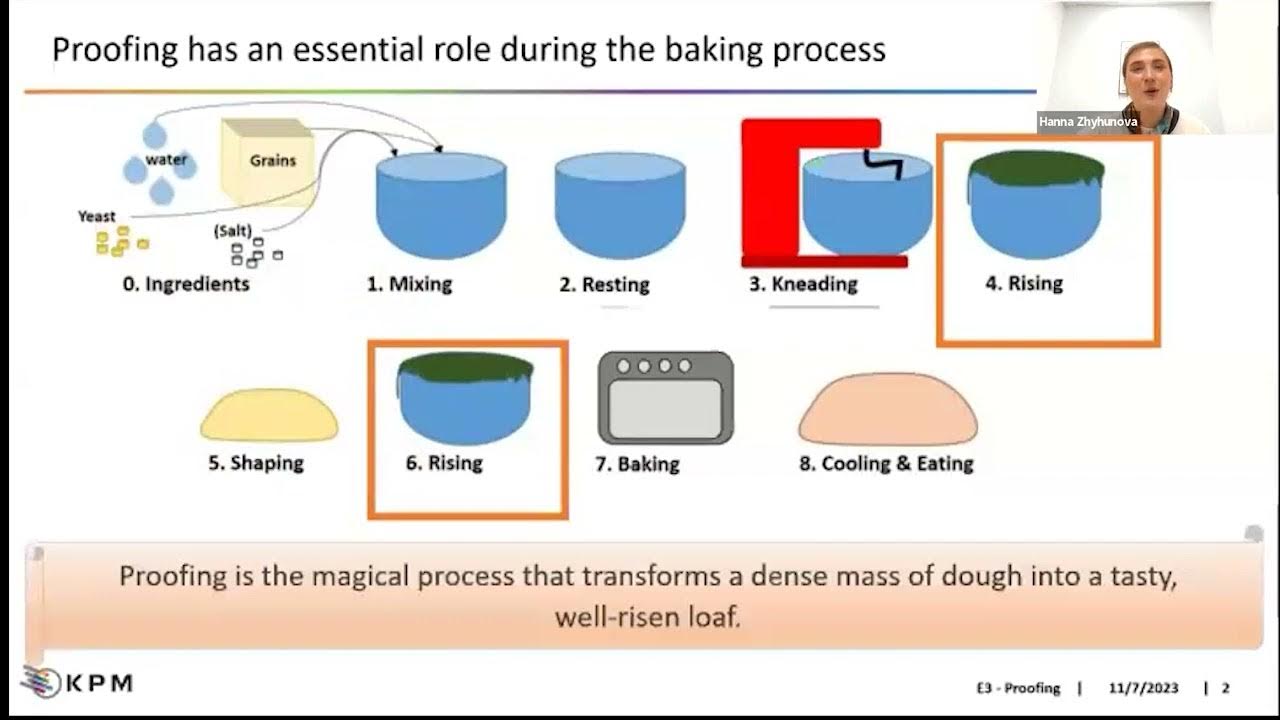 Baking Molding Made Simple Follow These 7 Essential Steps